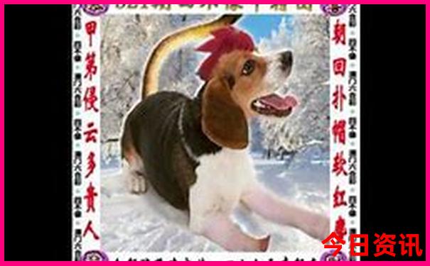 江苏暑假适合去哪里旅游